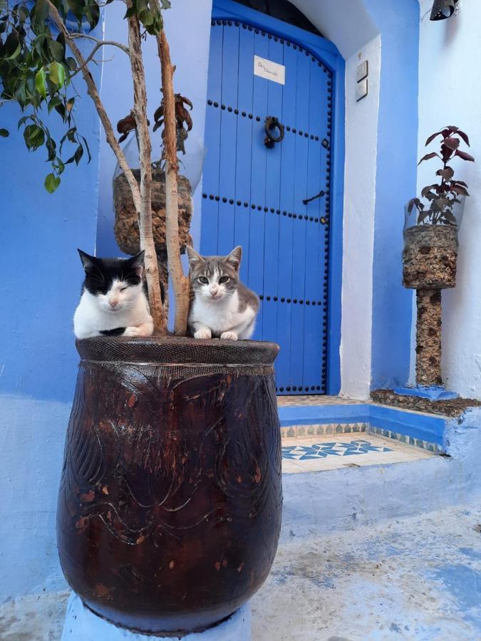 Riad Chourafa Шавен Екстер'єр фото